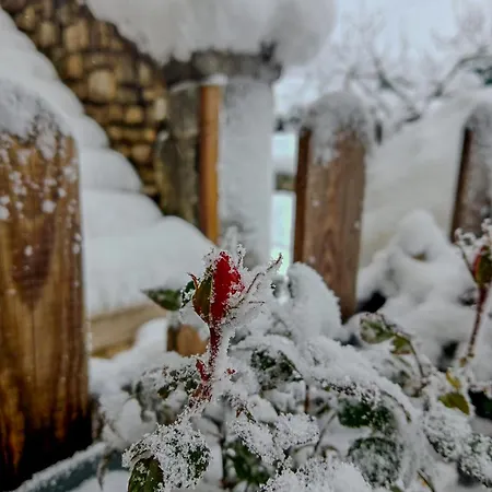#914 - Irpinia * Nusco